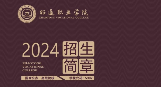 伟徳bevictor19462024年招生简章 